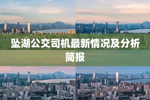 墜湖公交司機最新情況及分析簡報