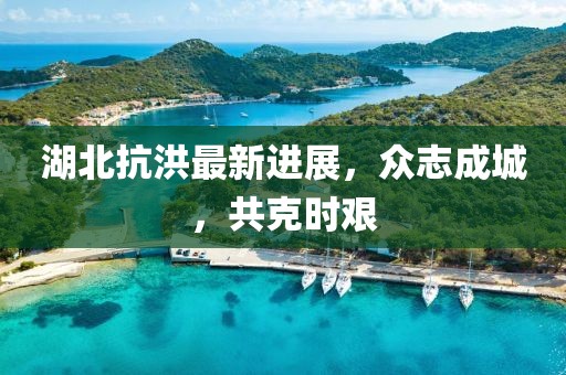 湖北抗洪最新進(jìn)展，眾志成城，共克時(shí)艱