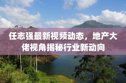 任志強最新視頻動態(tài)，地產(chǎn)大佬視角揭秘行業(yè)新動向