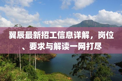 翼辰最新招工信息詳解，崗位、要求與解讀一網(wǎng)打盡