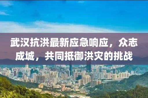 武漢抗洪最新應(yīng)急響應(yīng)，眾志成城，共同抵御洪災(zāi)的挑戰(zhàn)
