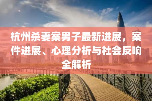 杭州殺妻案男子最新進(jìn)展，案件進(jìn)展、心理分析與社會反響全解析