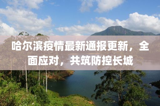 哈爾濱疫情最新通報(bào)更新，全面應(yīng)對(duì)，共筑防控長(zhǎng)城