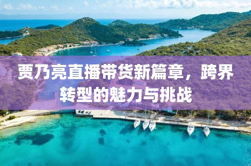 賈乃亮直播帶貨新篇章，跨界轉(zhuǎn)型的魅力與挑戰(zhàn)