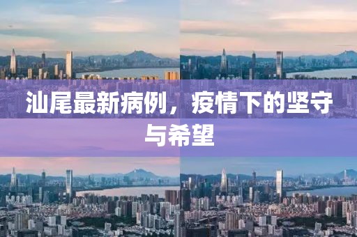 汕尾最新病例，疫情下的堅(jiān)守與希望
