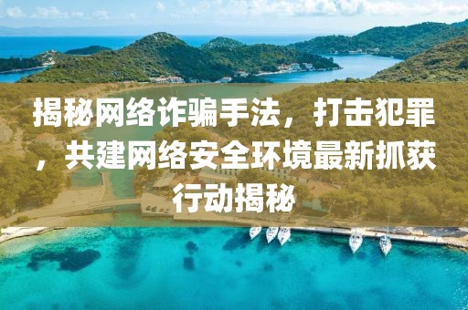 揭秘網(wǎng)絡(luò)詐騙手法，打擊犯罪，共建網(wǎng)絡(luò)安全環(huán)境最新抓獲行動揭秘