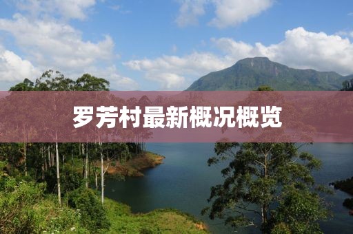 羅芳村最新概況概覽