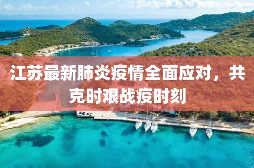 江蘇最新肺炎疫情全面應(yīng)對，共克時艱戰(zhàn)疫時刻