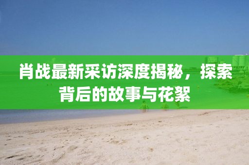 肖戰(zhàn)最新采訪深度揭秘，探索背后的故事與花絮