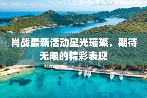 肖戰(zhàn)最新活動(dòng)星光璀璨，期待無限的精彩表現(xiàn)