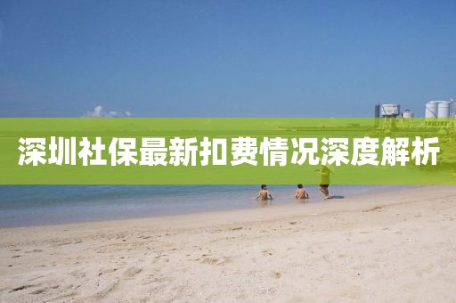深圳社保最新扣費(fèi)情況深度解析