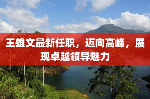 王雄文最新任職，邁向高峰，展現(xiàn)卓越領(lǐng)導(dǎo)魅力