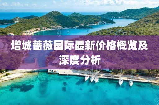 增城薔薇國際最新價格概覽及深度分析