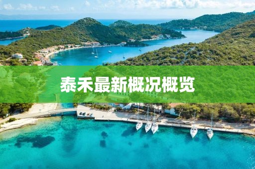 泰禾最新概況概覽