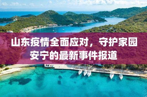 山東疫情全面應(yīng)對，守護(hù)家園安寧的最新事件報(bào)道