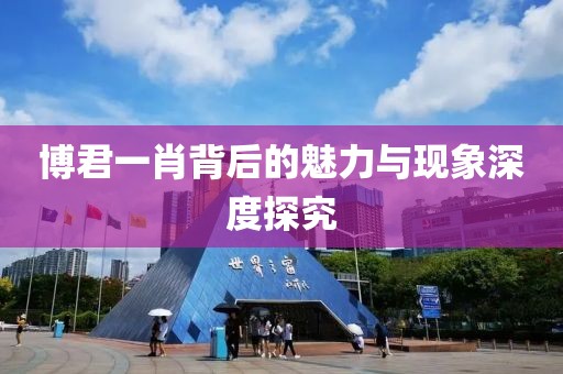 博君一肖背后的魅力與現(xiàn)象深度探究