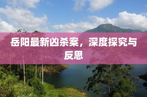岳陽最新兇殺案，深度探究與反思