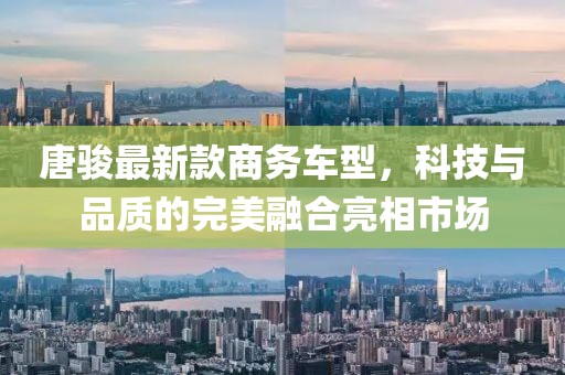唐駿最新款商務(wù)車型，科技與品質(zhì)的完美融合亮相市場