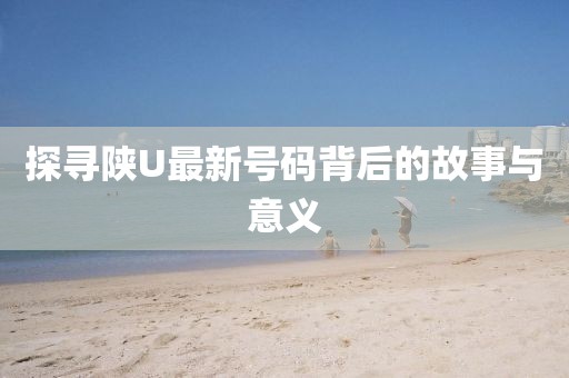 探尋陜U最新號碼背后的故事與意義