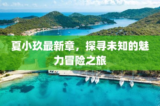 夏小玖最新章，探尋未知的魅力冒險(xiǎn)之旅