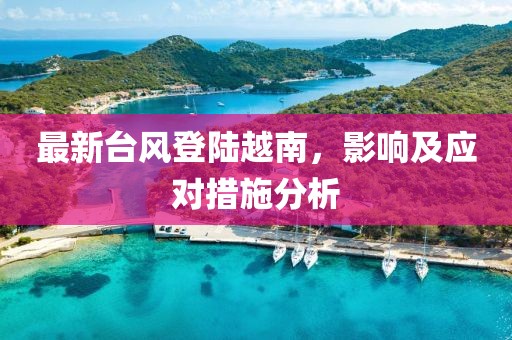 最新臺風(fēng)登陸越南，影響及應(yīng)對措施分析