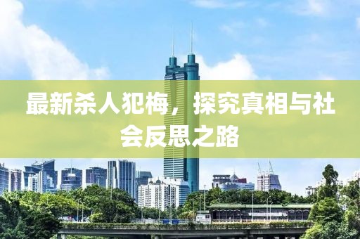 最新殺人犯梅，探究真相與社會反思之路