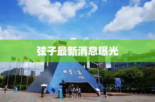 弦子最新消息曝光