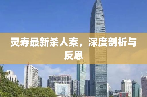 靈壽最新殺人案，深度剖析與反思