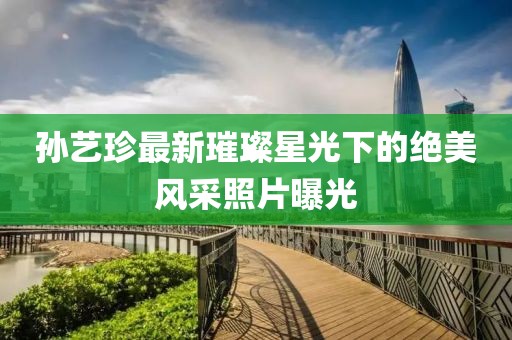 孫藝珍最新璀璨星光下的絕美風(fēng)采照片曝光