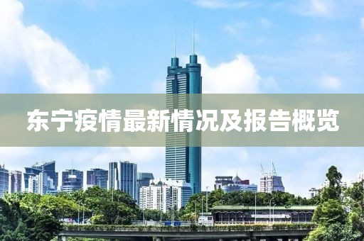 東寧疫情最新情況及報告概覽