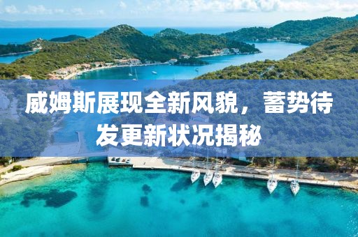 威姆斯展現(xiàn)全新風(fēng)貌，蓄勢待發(fā)更新狀況揭秘