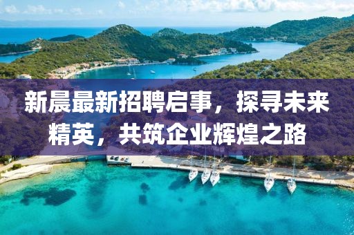新晨最新招聘啟事，探尋未來精英，共筑企業(yè)輝煌之路