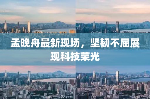 孟晚舟最新現(xiàn)場，堅(jiān)韌不屈展現(xiàn)科技榮光