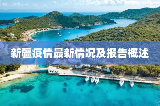 新疆疫情最新情況及報告概述