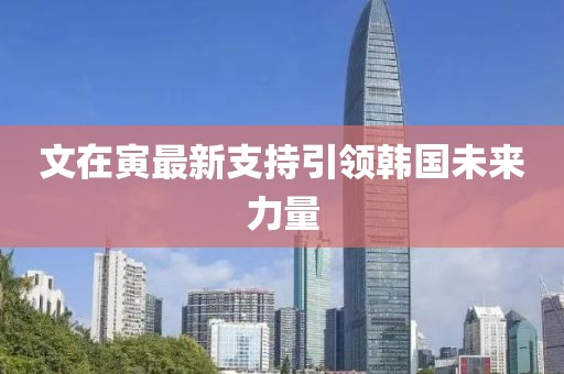 文在寅最新支持引領(lǐng)韓國未來力量