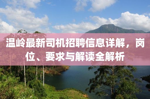 溫嶺最新司機(jī)招聘信息詳解，崗位、要求與解讀全解析
