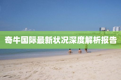奇牛國(guó)際最新狀況深度解析報(bào)告