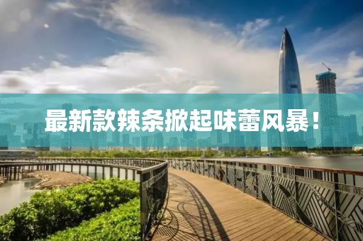 最新款辣條掀起味蕾風(fēng)暴！