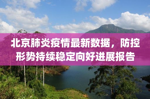 北京肺炎疫情最新數(shù)據(jù)，防控形勢(shì)持續(xù)穩(wěn)定向好進(jìn)展報(bào)告