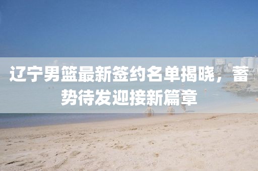 遼寧男籃最新簽約名單揭曉，蓄勢待發(fā)迎接新篇章