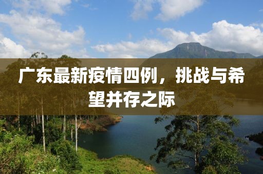 廣東最新疫情四例，挑戰(zhàn)與希望并存之際
