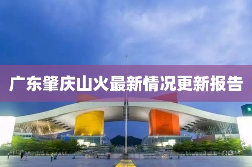 廣東肇慶山火最新情況更新報(bào)告