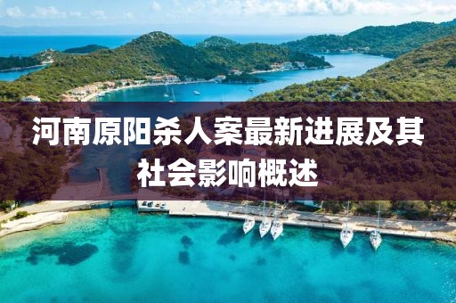 河南原陽殺人案最新進(jìn)展及其社會影響概述