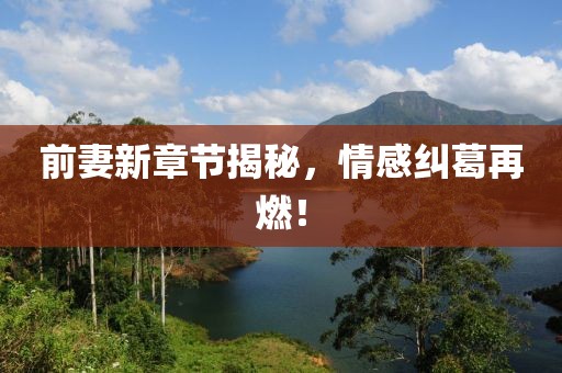 前妻新章節(jié)揭秘，情感糾葛再燃！