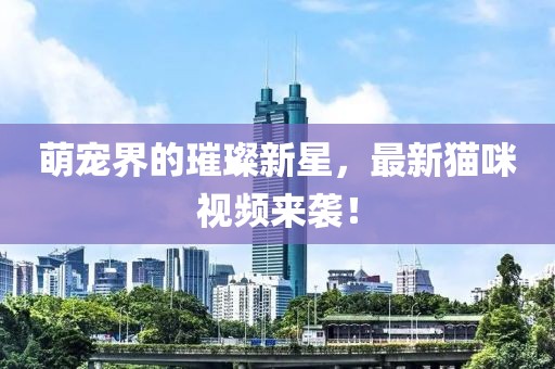 萌寵界的璀璨新星，最新貓咪視頻來襲！