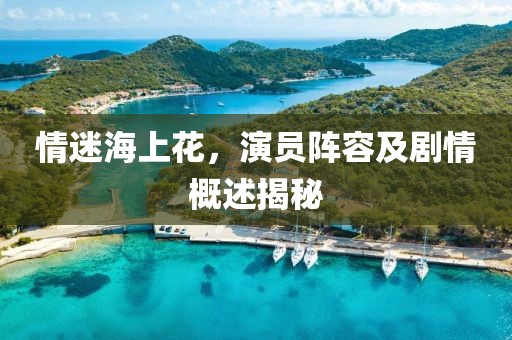 情迷海上花，演員陣容及劇情概述揭秘