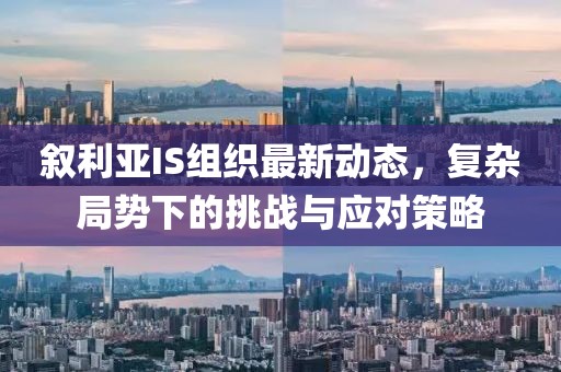 敘利亞IS組織最新動(dòng)態(tài)，復(fù)雜局勢(shì)下的挑戰(zhàn)與應(yīng)對(duì)策略