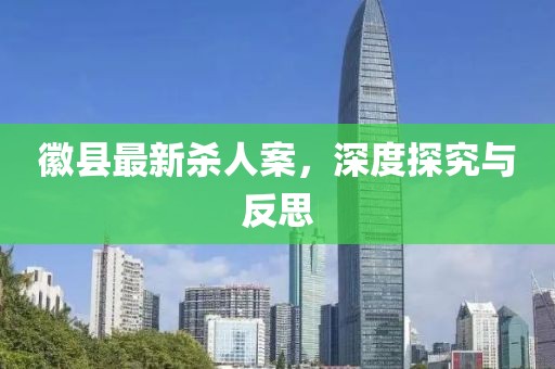 徽縣最新殺人案，深度探究與反思
