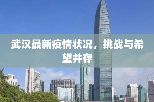 武漢最新疫情狀況，挑戰(zhàn)與希望并存