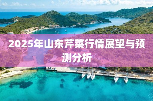 2025年山東芹菜行情展望與預(yù)測(cè)分析